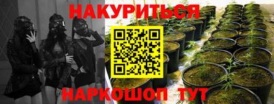 гашиш Шелехов