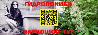 гашиш Шелехов