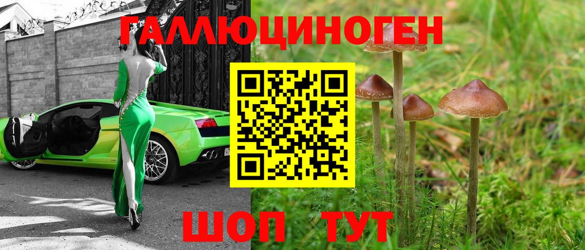 Урай  Галлюциногенные грибы MAGIC MUSHROOMS  Вход с VPN 